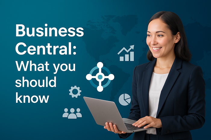 Business Central Accountants